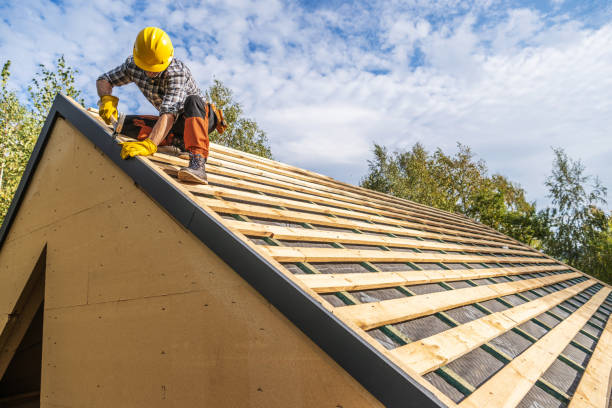 Best Gutter Installation and Roofing  in Encantada Ranchito El Calaboz, TX